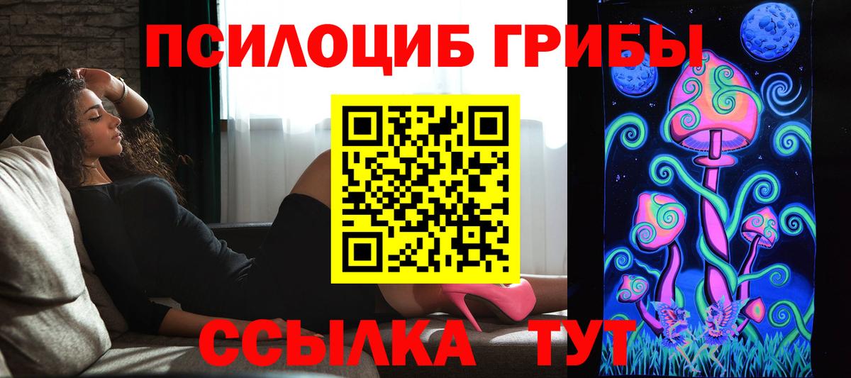 Псилоцибиновые грибы Cubensis  Вход с VPN  наркошоп  Фролово 